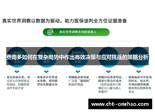 费南多如何在复杂局势中作出高效决策与应对挑战的策略分析