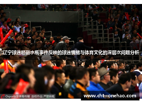 辽宁球迷怒砸水瓶事件反映的球迷情绪与体育文化的深层次问题分析