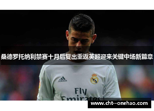 桑德罗托纳利禁赛十月后复出重返英超迎来关键中场新篇章