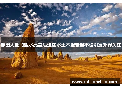 镰田大地加盟水晶宫后遭遇水土不服表现不佳引发外界关注